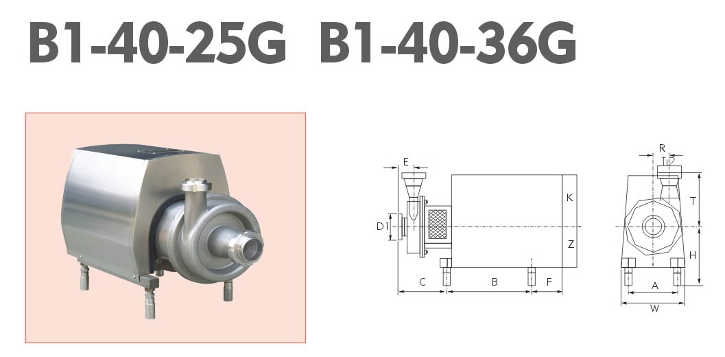 卫生离心泵B1-40-25G B1-40-36G